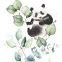 Panda Design tapéta