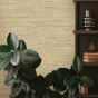 Tashkent tapéta