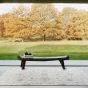 Harmony beige szőnyeg 160x230 cm
