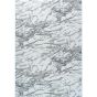 Platinum light grey szőnyeg 160x230 cm